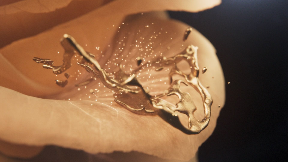 Design Animation of a golden rose, with splash of gold. Made by Magoo Animation