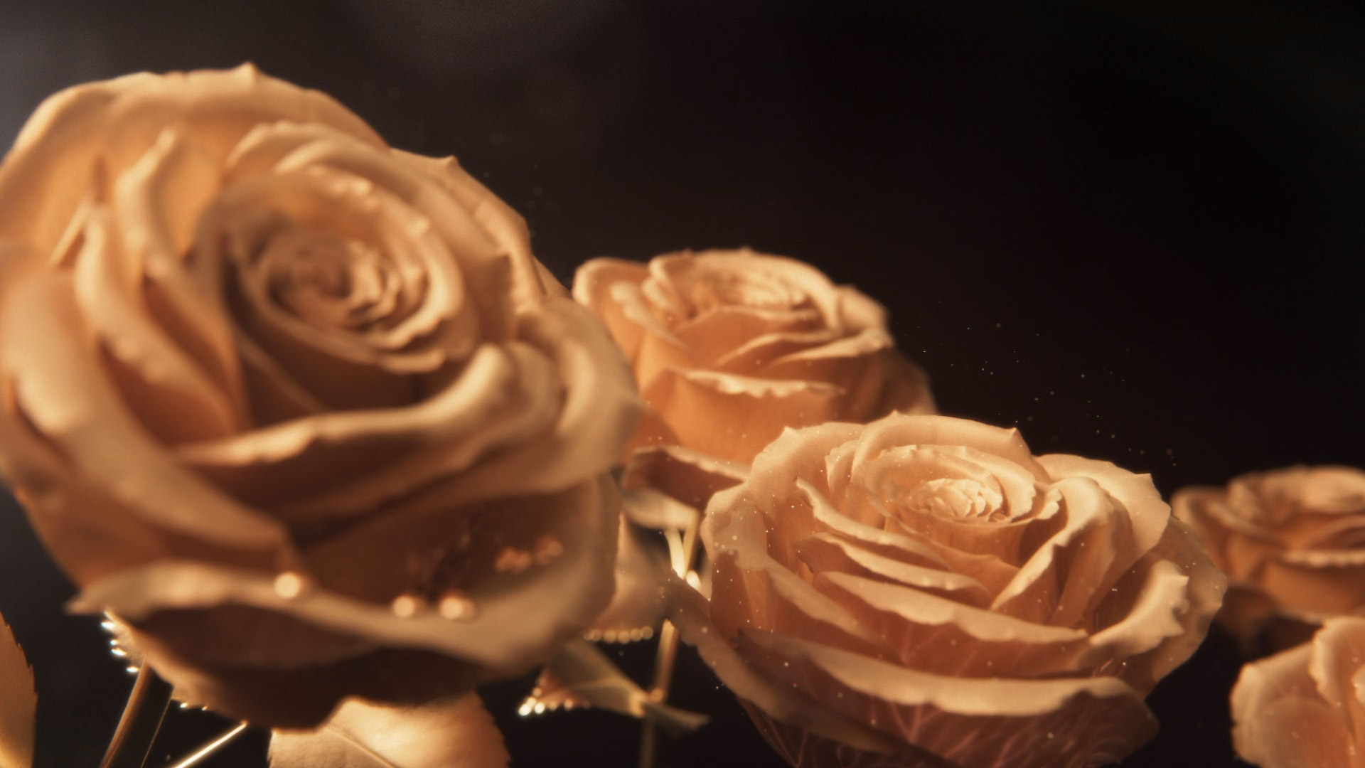 Golden roses, Animated film by Magoo Animation.